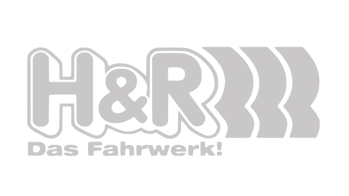 Carbonwurks Poole Bournemouth Dorset H&R Suspension